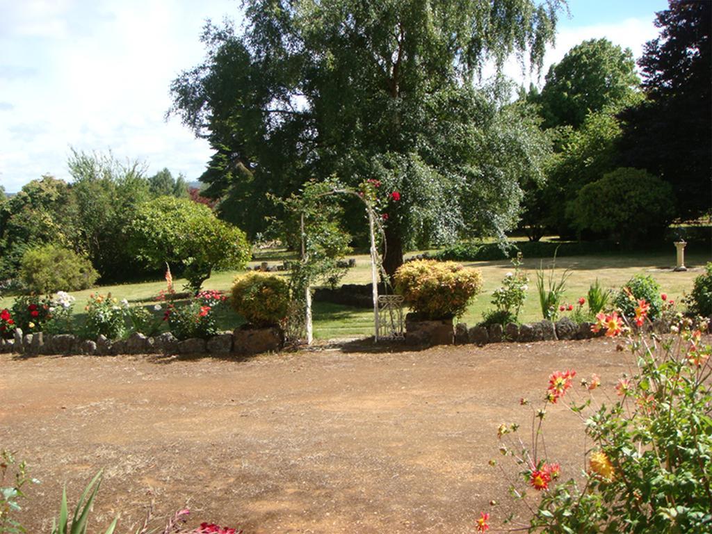 Tahara Cottage Deloraine Oda fotoğraf